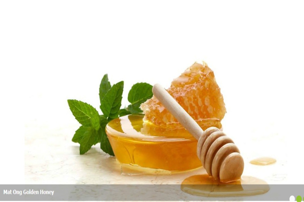 This image has an empty alt attribute; its file name is background-golden-honey.jpg